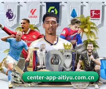 center-app-aitiyu.com.cn APP